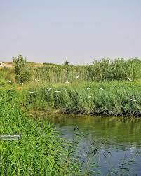 بسیج قصرشیرین ۳۰ میلیارد ریال تسهیلات اقتصاد مقاومتی پرداخت کرده است