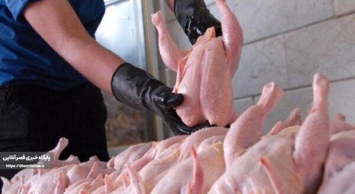 تولید مرغ افزایش یافت