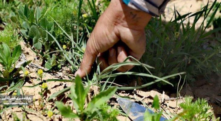 تأثیر فرهنگ خوراک در تفکر و جهانبینی