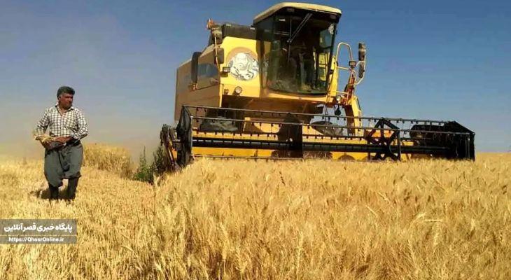 پرداخت مطالبات گندمکاران کرمانشاهی مهمترین چالش امنیت غذایی